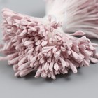 Тычинки для цветов "Серо-розовый" набор 360 шт длина 6 см - фото 7458170