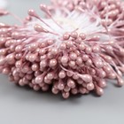 Тычинки для цветов "Капельки глянец капучино" набор 300 шт длина 6 см - Фото 3