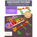 Счётный материал в коробке «Овощи» 66 деталей - Фото 3