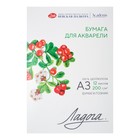 Бумага для Акварели в папке А3, ЗХК "Ладога", 12 листов, 200 г/м2, среднезернистая, 252781935 - Фото 1