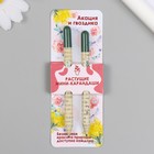 Растущие подарочные карандаши mini "Акация и гвоздика" набор 2 шт - фото 19892062