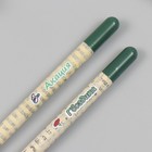 Растущие подарочные карандаши mini "Акация и гвоздика" набор 2 шт - фото 7493118