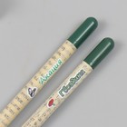 Растущие подарочные карандаши mini "Акация и гвоздика" набор 2 шт - фото 7493123