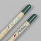 Растущие подарочные карандаши mini "Акация и гвоздика" набор 2 шт - фото 7493128