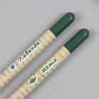 Растущие подарочные карандаши mini "Мята и Лавада" набор 2 шт - фото 7493148
