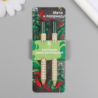 Растущие подарочные карандаши mini "Мята и Паприка" набор 2 шт - фото 11112129