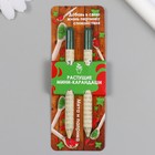 Растущие подарочные карандаши mini "Мята и Паприка" набор 2 шт - фото 11112134