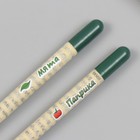 Растущие подарочные карандаши mini "Мята и Паприка" набор 2 шт - Фото 5