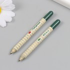 Растущие подарочные карандаши mini "Мята и Паприка" набор 2 шт - фото 7493167