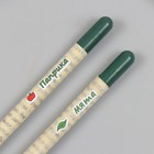 Растущие подарочные карандаши mini "Мята и Паприка" набор 2 шт - фото 7493168