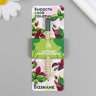 Растущие подарочные карандаши mini Вырасти свой салатик "Базилик" - фото 7493197