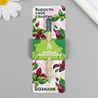 Растущие подарочные карандаши mini Вырасти свой салатик "Базилик" 9879781 - фото 11112177