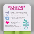 Растущие подарочные карандаши mini Вырасти свой салатик "Базилик" - Фото 3