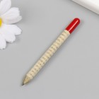 Растущие подарочные карандаши mini "Гвоздика" - фото 7493252