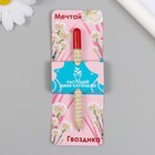 Растущие подарочные карандаши mini Мечтай "Гвоздика" - Фото 1