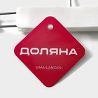 Вешалка для брюк и юбок Доляна, 22×14 см, с зажимами, белая - Фото 4