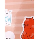 Ежедневник недатированный 150 х 204 мм, 96 листов "Коты", твёрдая обложка, глянцевая ламинация, с трафаретом (100 х 150 мм), блок офсет 70 г/м2 - фото 22906686