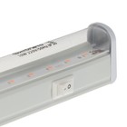 Фитосветильник светодиодный ФитоЛето, 10 Вт, 570 мм, IP20, 220 В, для рассады и цветения - фото 9360843