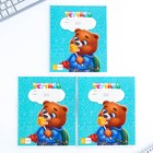 Набор первоклассника «1 сентября: Школьная пора» 32 предмета, в папке - фото 24365955