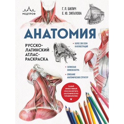 Анатомия. Русско-латинский атлас-раскраска. Билич Г.Л., Зигалова Е.Ю.