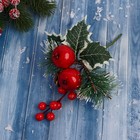 Декор "Зимние грезы" яблоки снежные еловые веточки шишки, 16 см - фото 11112558