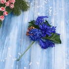 Еловая ветка декоративная «Зимнее волшебство. Грёзы», 15 см - Фото 3