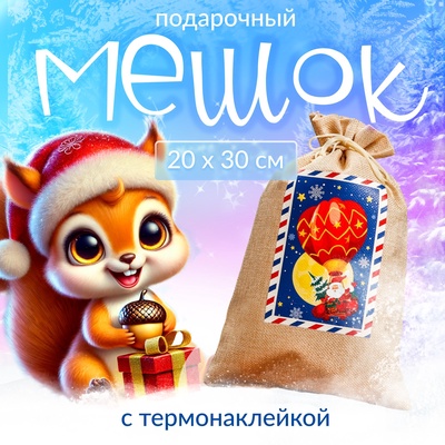 Мешок подарочный новогодний с термонаклейкой «Дед Мороз», 20×30 см