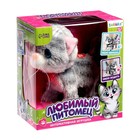 УЦЕНКА Интерактивная игрушка «Любимый питомец», МИКС - Фото 2