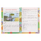 Учебно-методический комплект Окружающий мир, 3 класс, рабочая тетрадь, часть 2, Соколова - фото 22924651