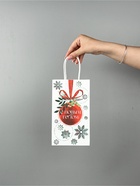 Набор новогодних пакетов «Новогодняя пора» - фото 68122020