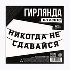 Гирлянда на ленте «Не сдавайся», 220 см. - фото 23040819