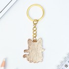 Брелок для ключей детский, металлический "Кот", 3,6 х 4 см - фото 23078441