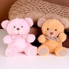 Брелок детский «Мишка», мягкая игрушка, 12 см, цвет МИКС - Фото 5