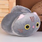 Мягкая игрушка «Котёнок», 20 см, цвет серый - фото 320215431
