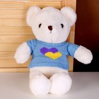 Мягкая игрушка «Белый медвежонок», 28 см, цвет МИКС - фото 109078051