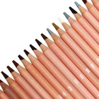 Карандаши 120цв Berlingo "SuperSoft. Pro", круг, заточен., картон, европодвес  352455 - фото 22964471