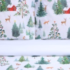 Постельное бельё 1.5-спальное «Этель. Домик в лесу», бязь - фото 26609352