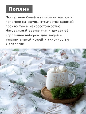 Постельное бельё 2-спальное «Этель» Forest history, поплин