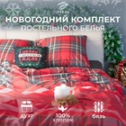 Постельное бельё "Этель" дуэт Scottish holidays 143х215 см 2 шт,220х240 см,70х70 см 2 шт,бязь 125 г/м2 9823654 - фото 13212547