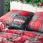 Постельное бельё "Этель" дуэт Scottish holidays 143х215 см 2 шт,220х240 см,70х70 см 2 шт,бязь 125 г/м2 9823654 - фото 13212539