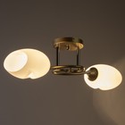 Люстра "Дайки" 2х60Вт Е27 золото 50х15х20см SVK - фото 22980156