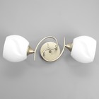 Люстра "Дайки" 2х60Вт Е27 золото 50х15х20см SVK - фото 22980158