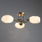 Люстра "Дайки" 3х60Вт Е27 золото 56х56х20см SVK - фото 22980163