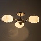 Люстра "Дайки" 3х60Вт Е27 золото 56х56х20см SVK - фото 22980164