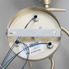 Люстра "Дайки" 3х60Вт Е27 золото 56х56х20см SVK - фото 22980168