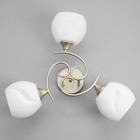 Люстра "Дайки" 3х60Вт Е27 золото 56х56х20см SVK - фото 22980169