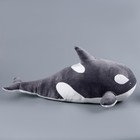 Мягкая игрушка «Косатка», 80 см, цвет серый - Фото 3