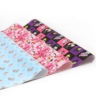 Бумага упаковочная глянцевая, 70 х 100 см, Me To You, Злодейки, Кошечка Мари (комплект 3 шт) - фото 51094741