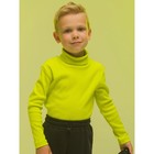 Джемпер для мальчиков, рост 116 см, цвет жёлтый - фото 109976368