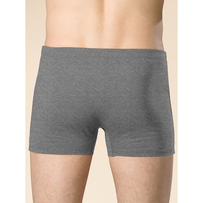 Трусы мужские, размер 46, цвет серый